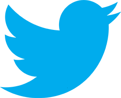 Twitter Logo